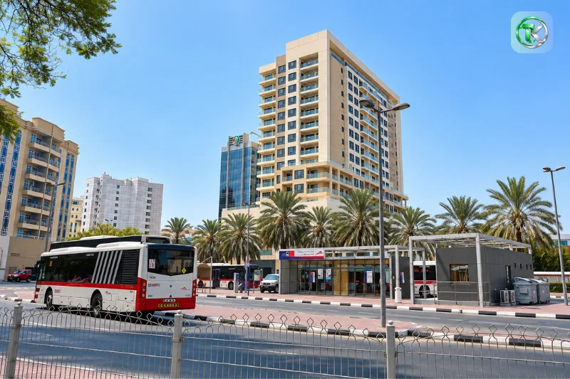 Deira City Centre bus station with RTA buses and palm-lined streets
